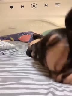 极品颜值御姐魔鬼身材 多体位无套爆操 按摩棒自慰高潮喷水